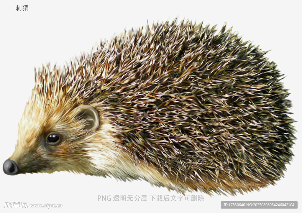 刺猬