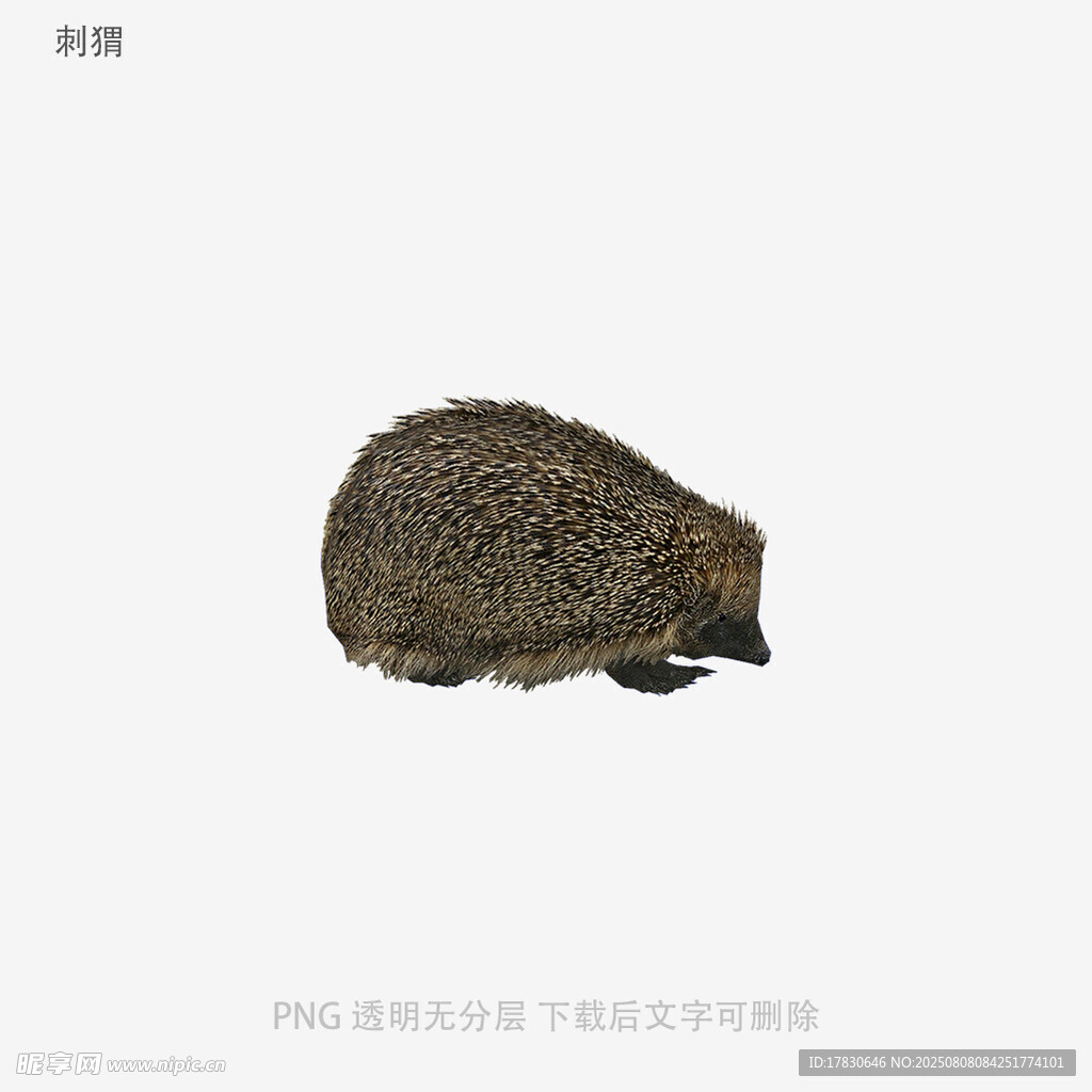 刺猬