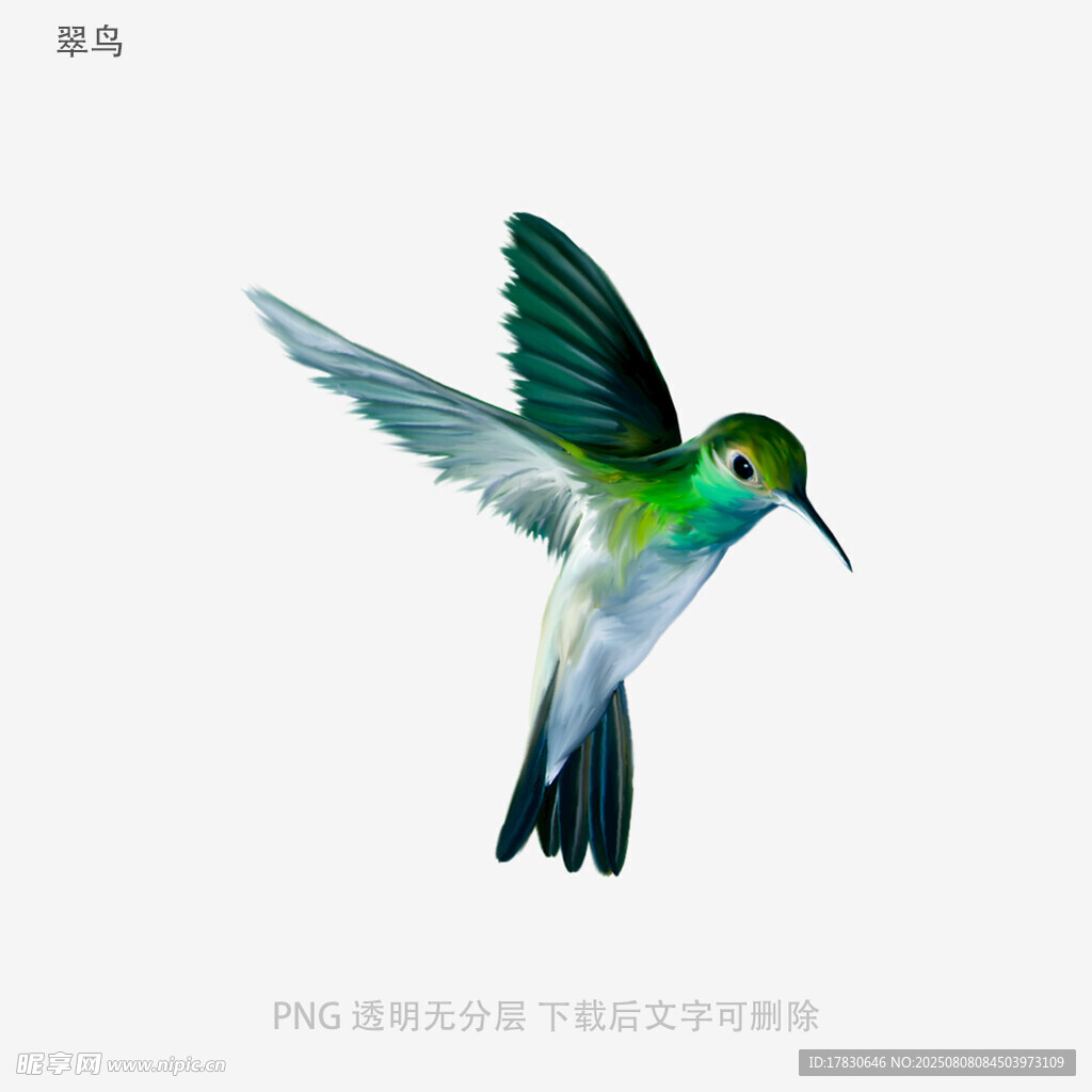 翠鸟