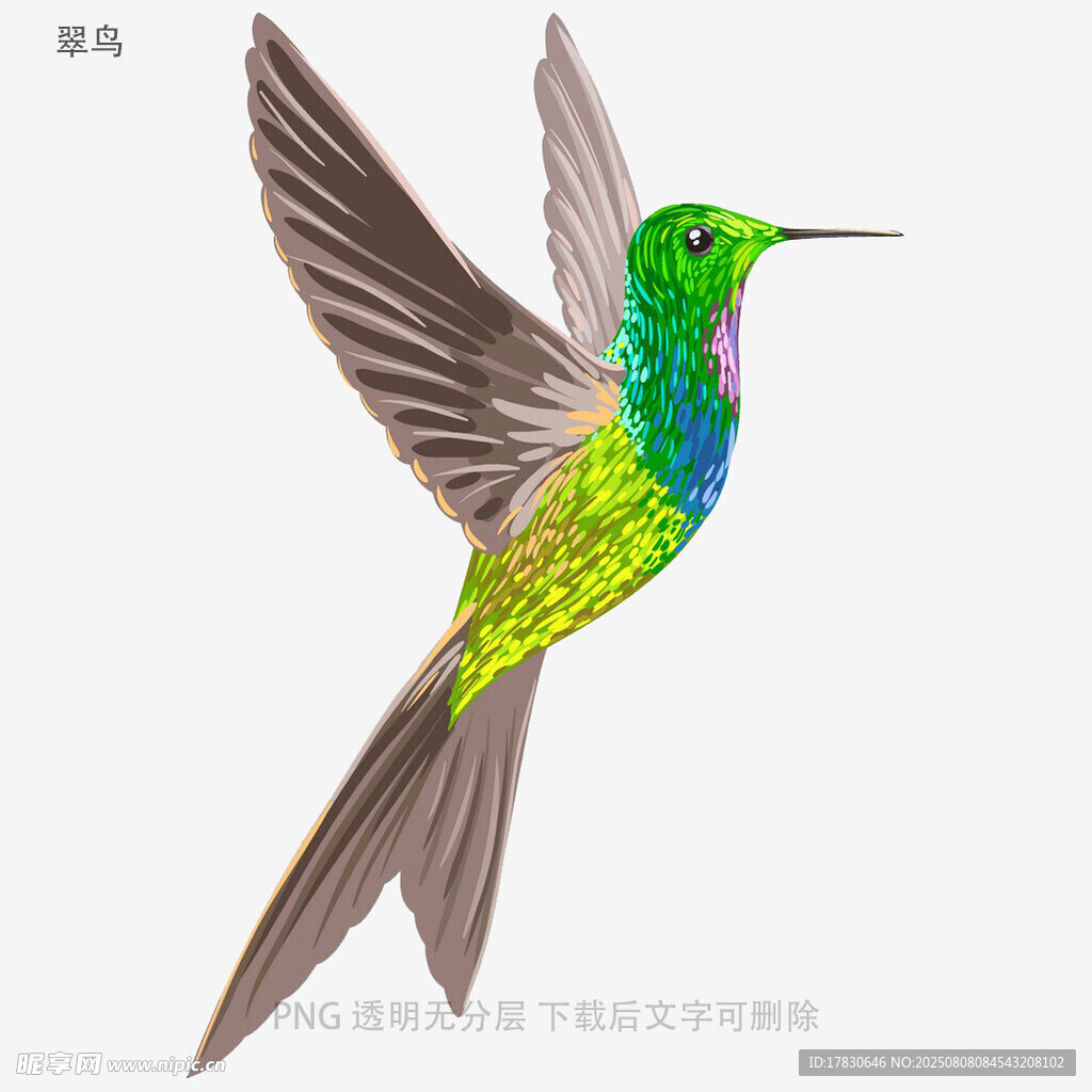 翠鸟