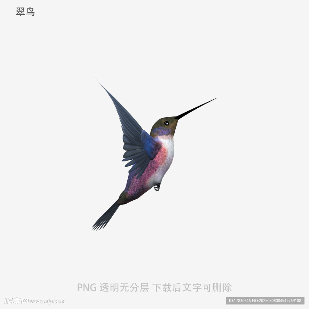 翠鸟