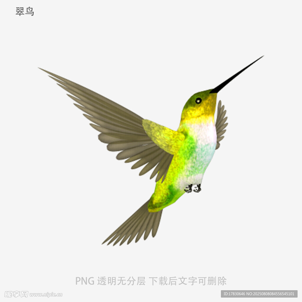 翠鸟