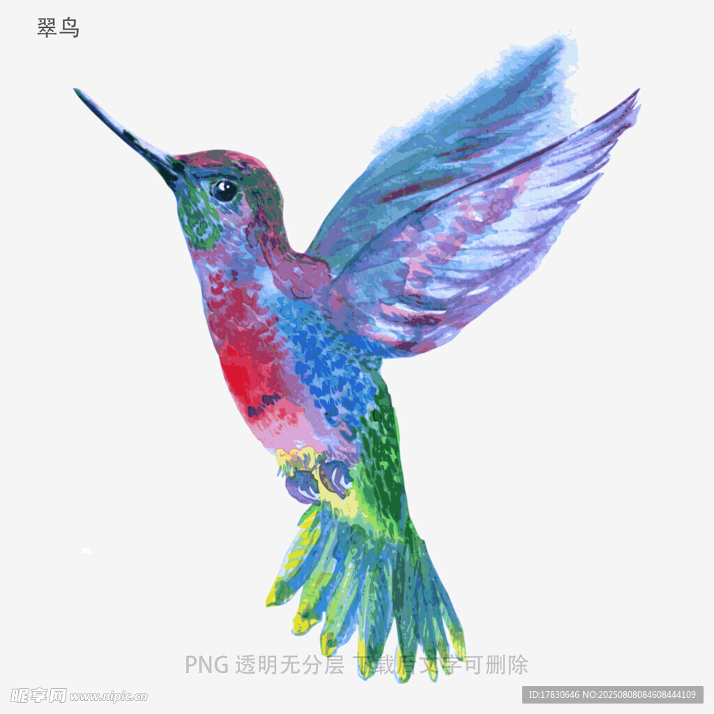 翠鸟