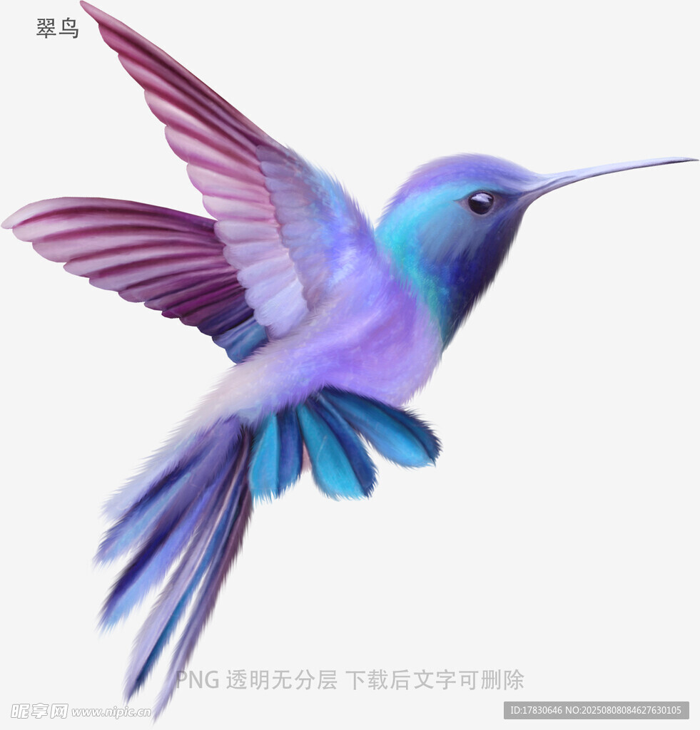翠鸟