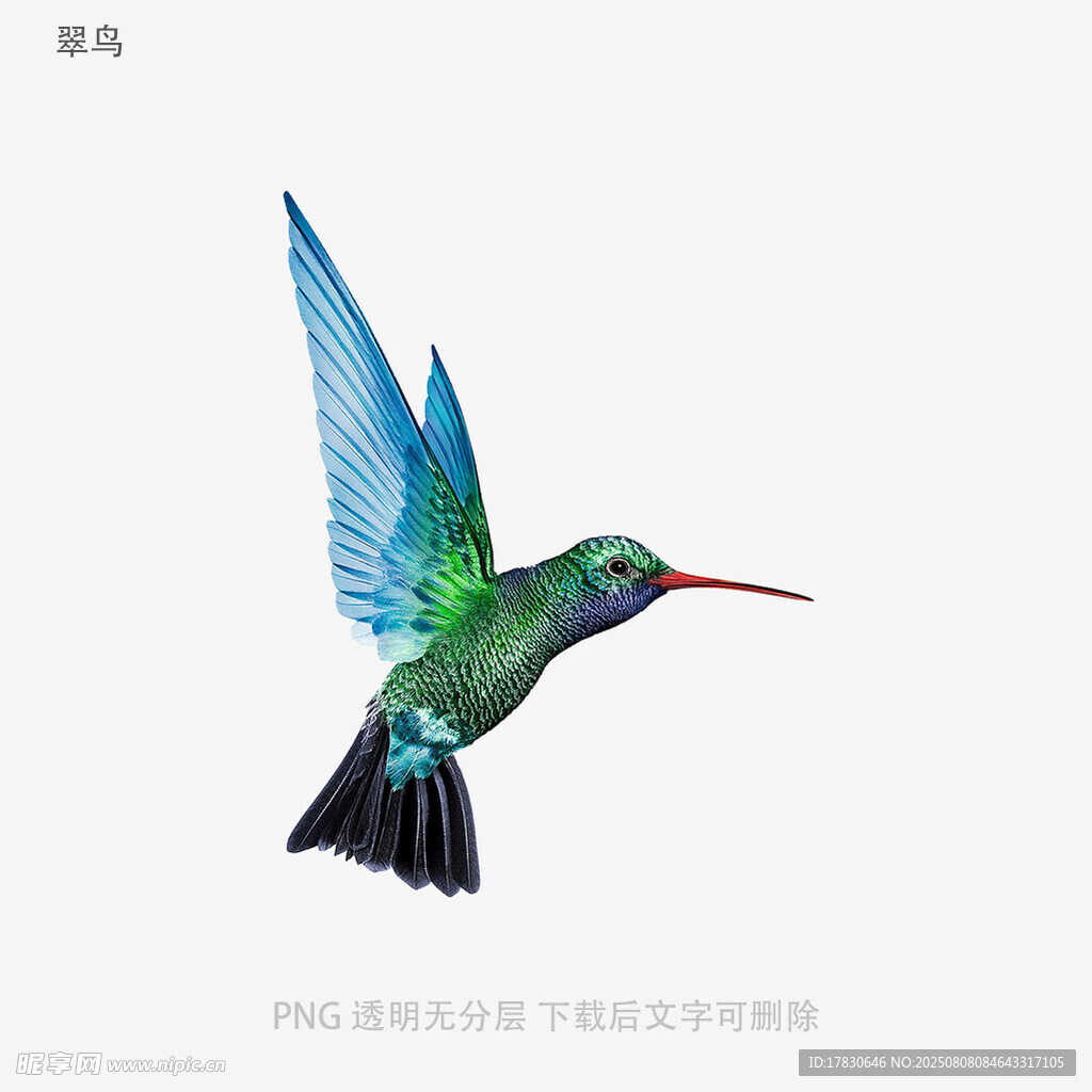 翠鸟