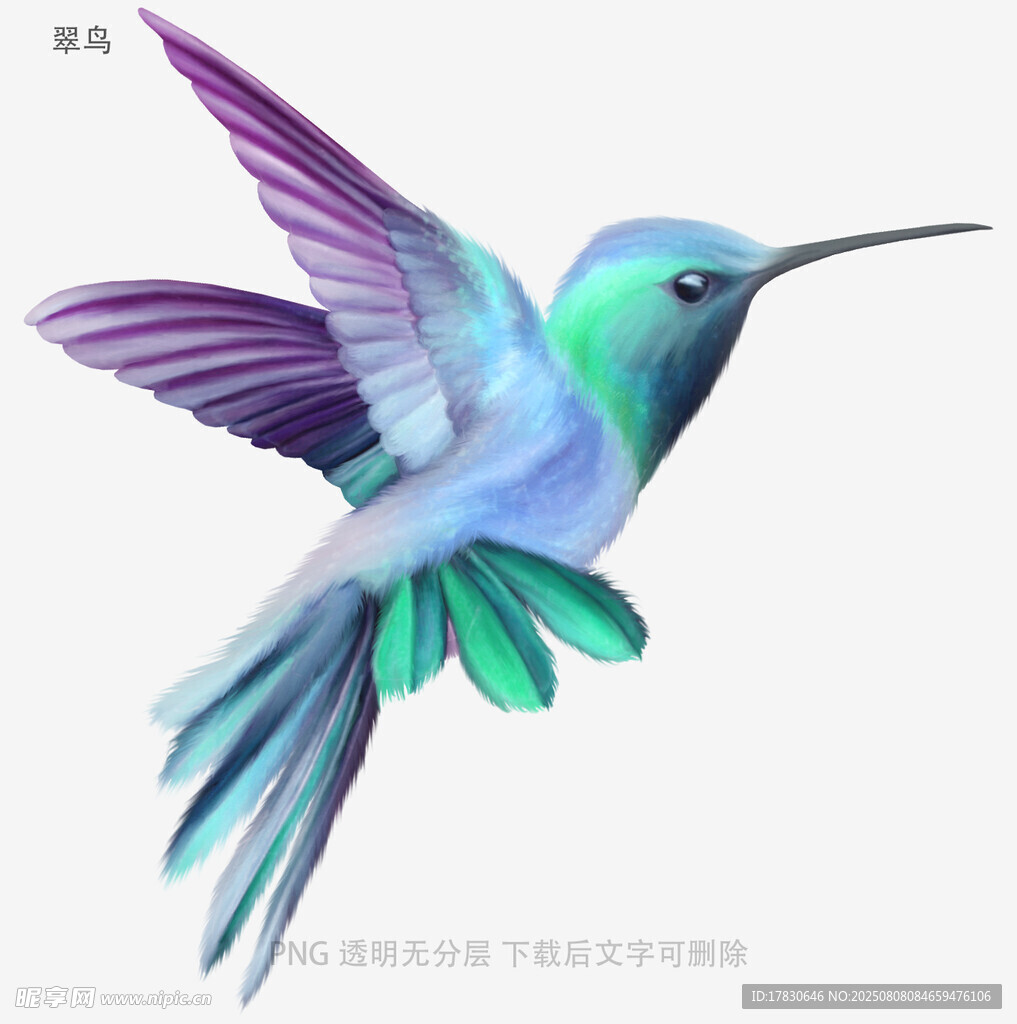 翠鸟