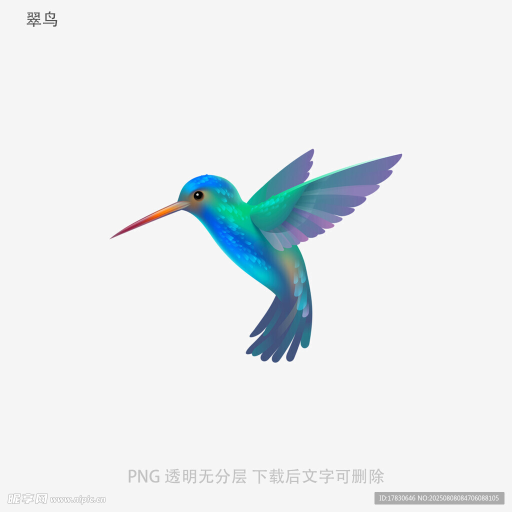 翠鸟