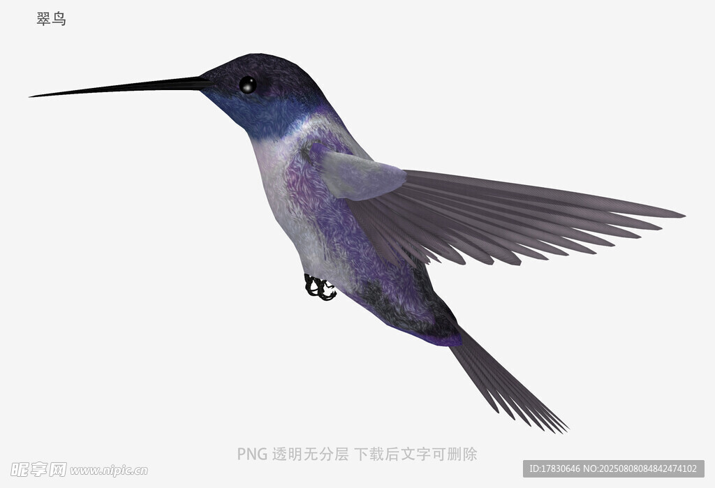 翠鸟