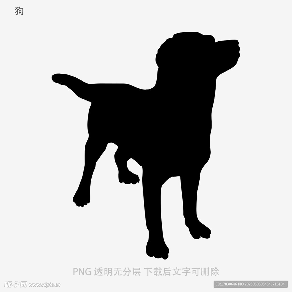 狗