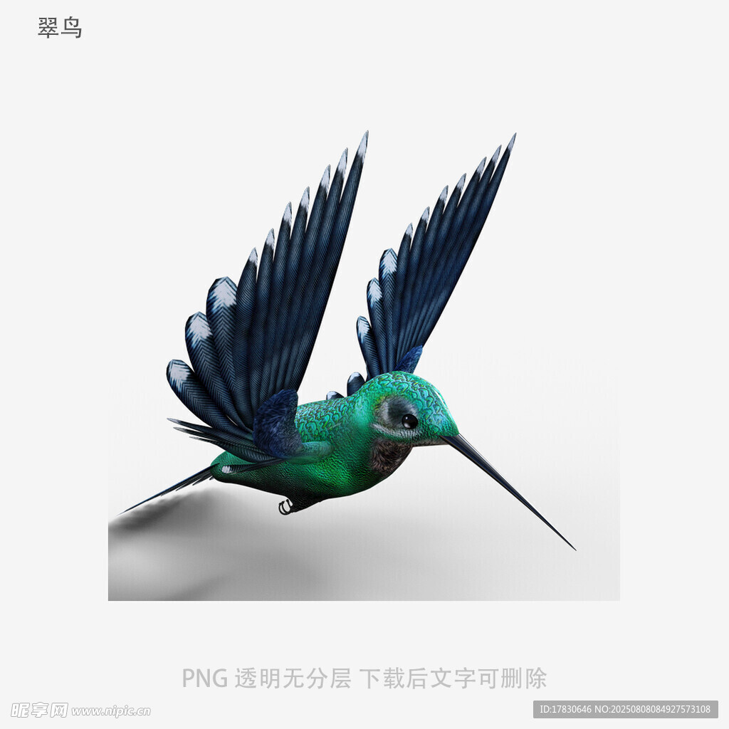 翠鸟