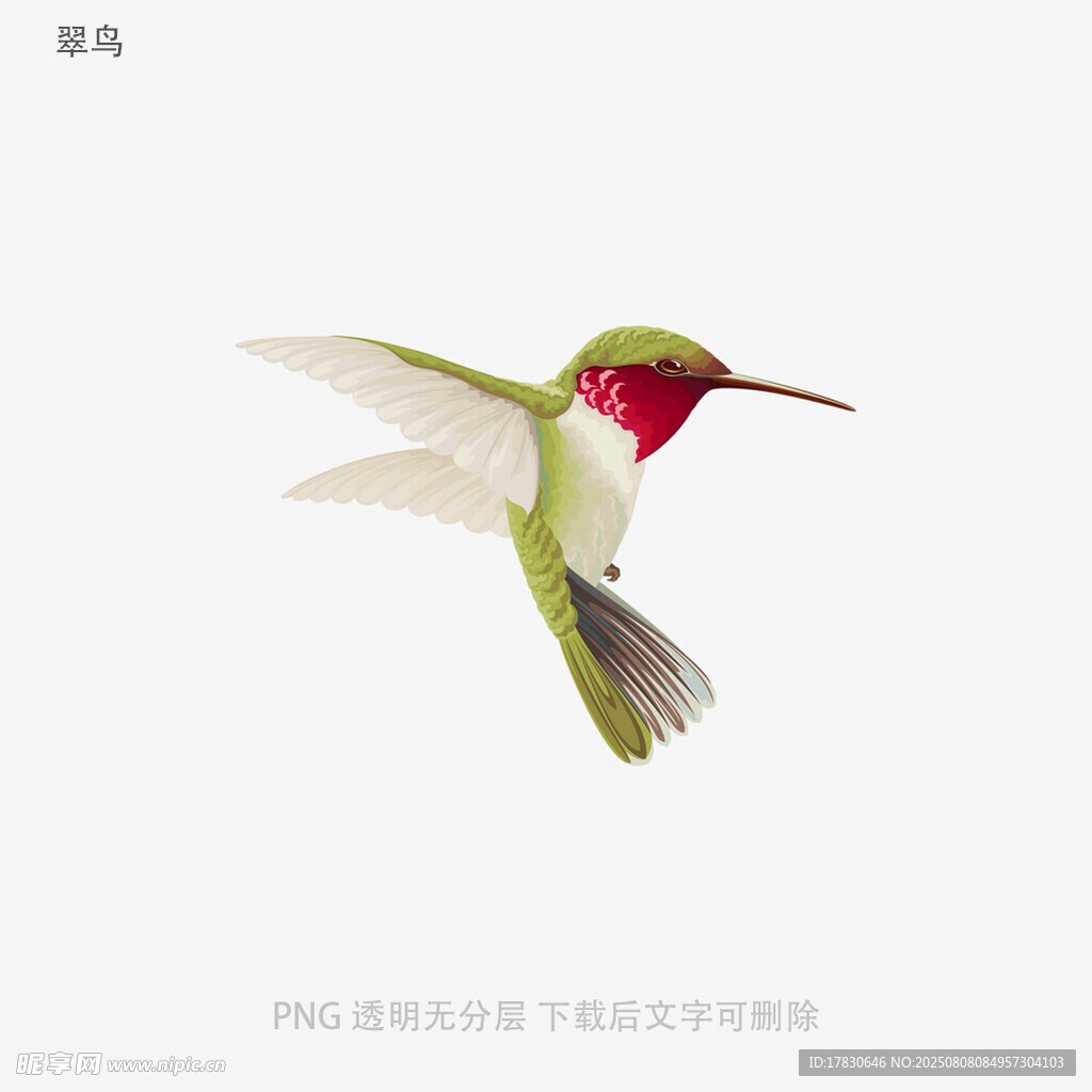 翠鸟