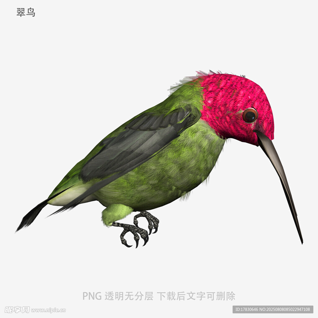 翠鸟