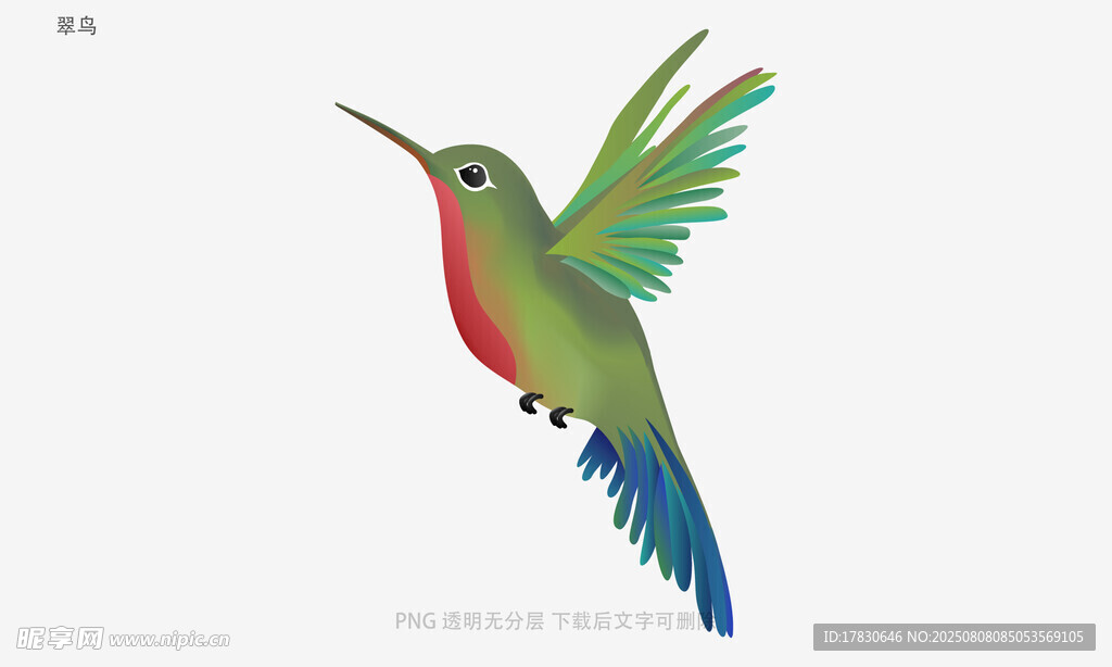 翠鸟