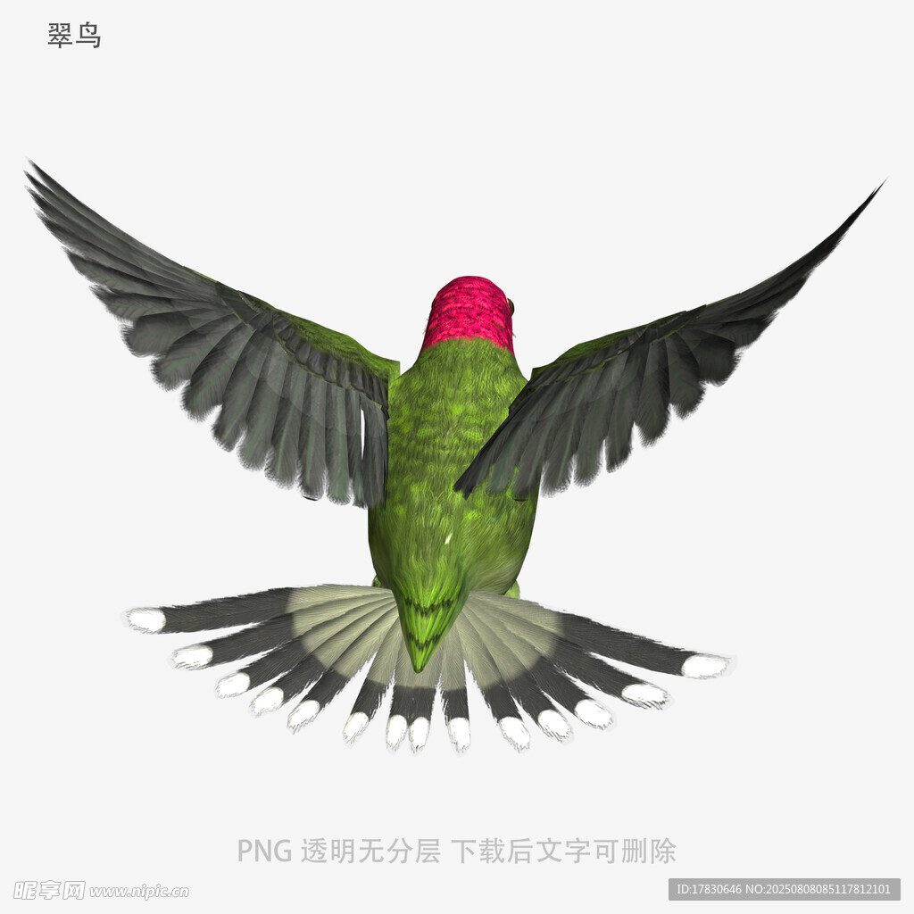 翠鸟
