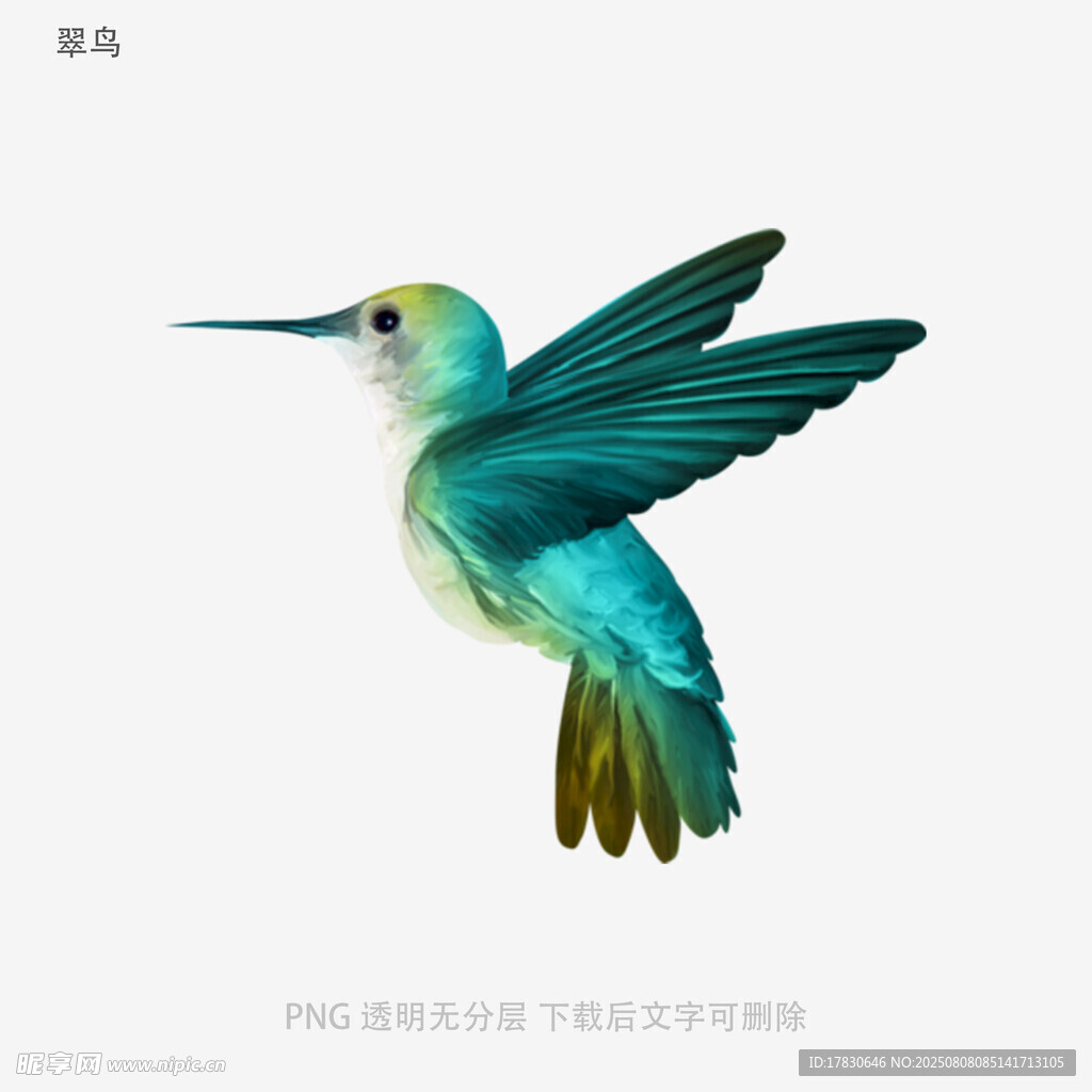 翠鸟