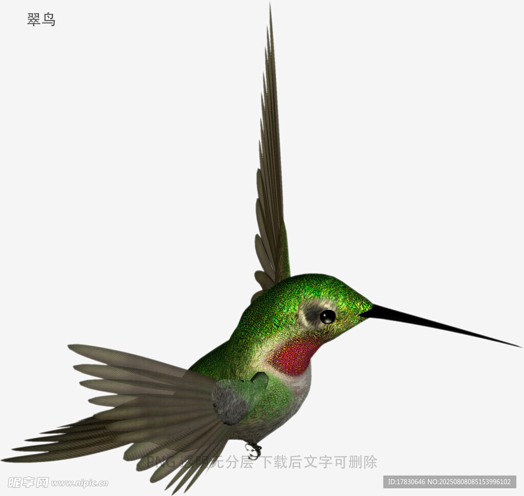 翠鸟