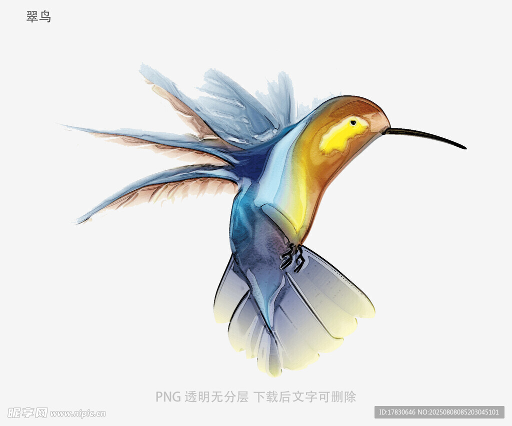 翠鸟