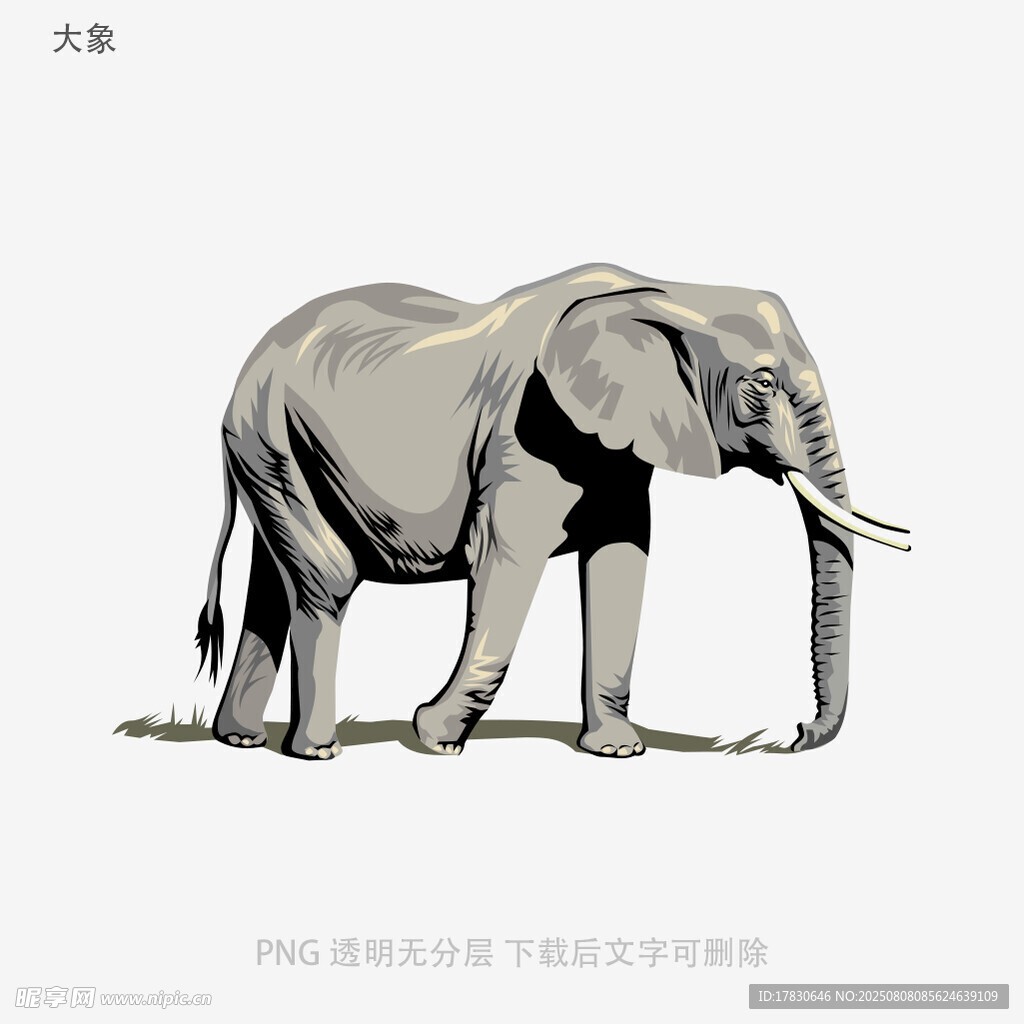 大象