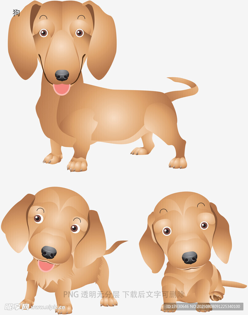 狗