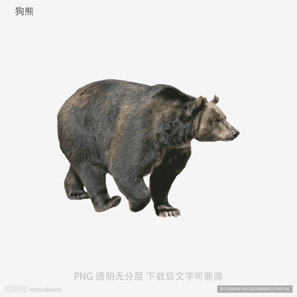 狗熊