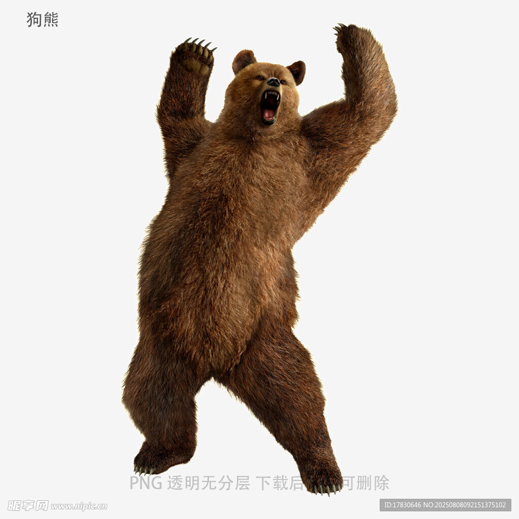 狗熊