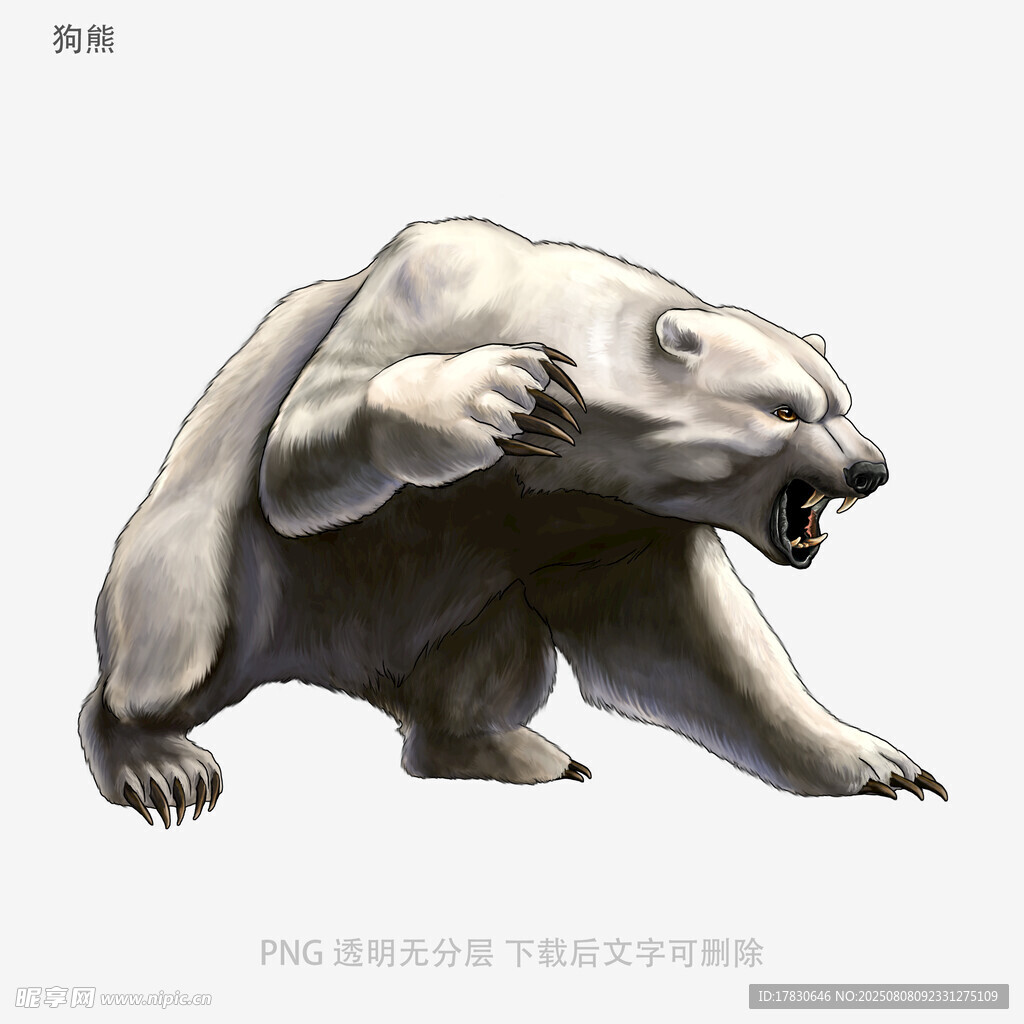 狗熊
