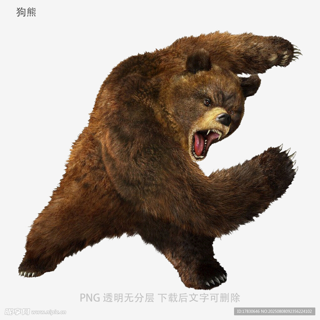 狗熊