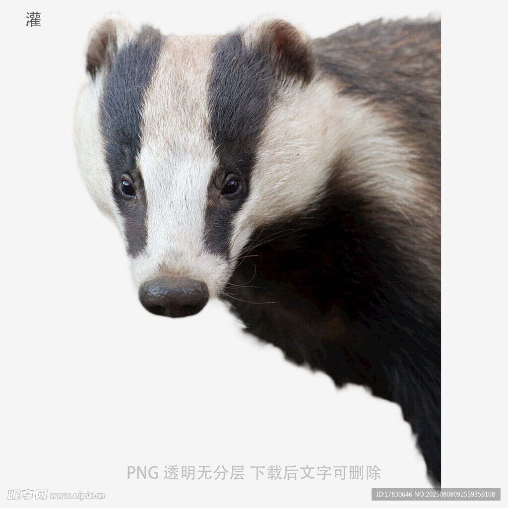 灌