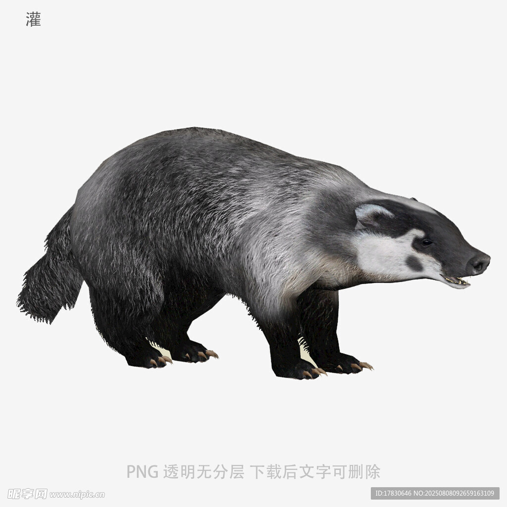 灌