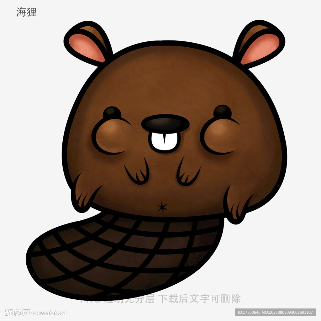 海狸