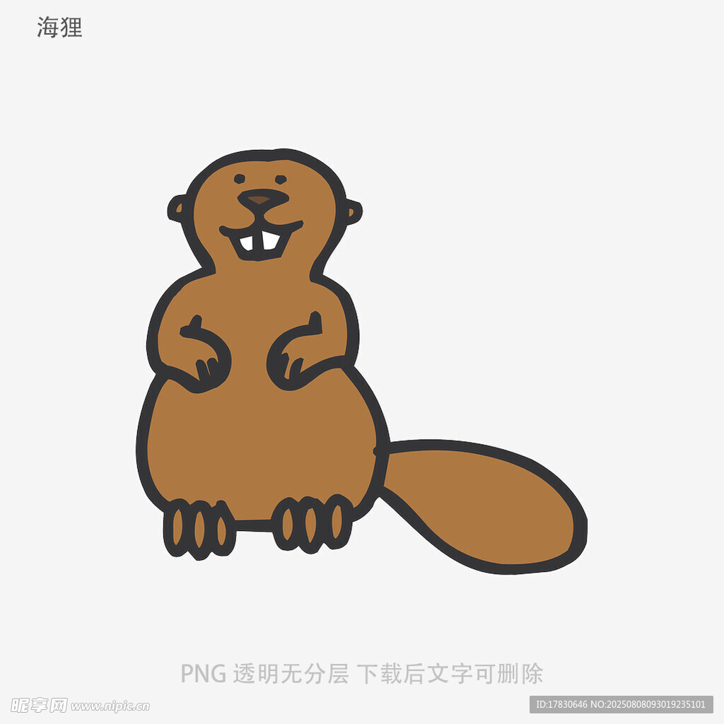 海狸