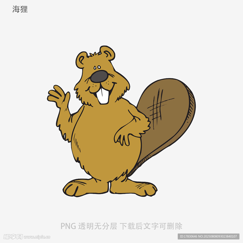海狸
