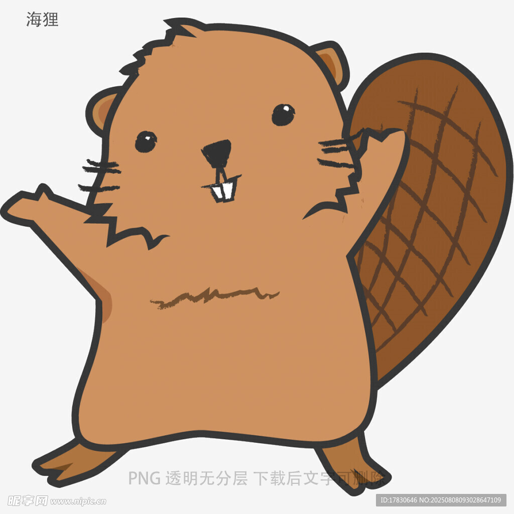 海狸