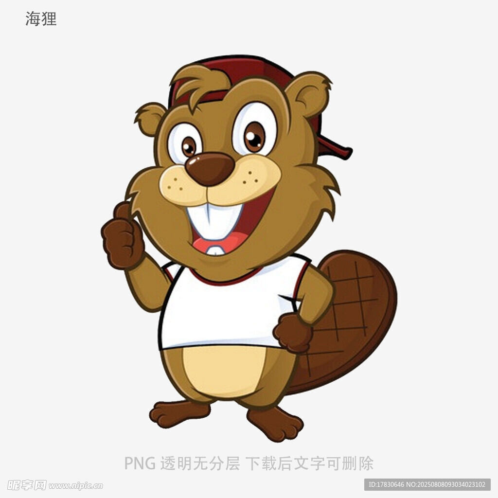 海狸