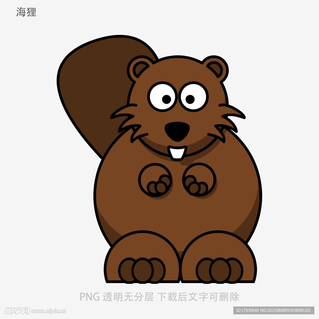 海狸