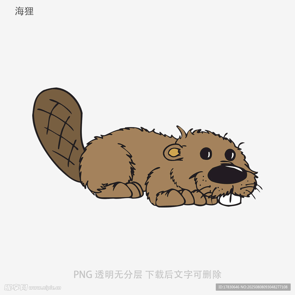 海狸