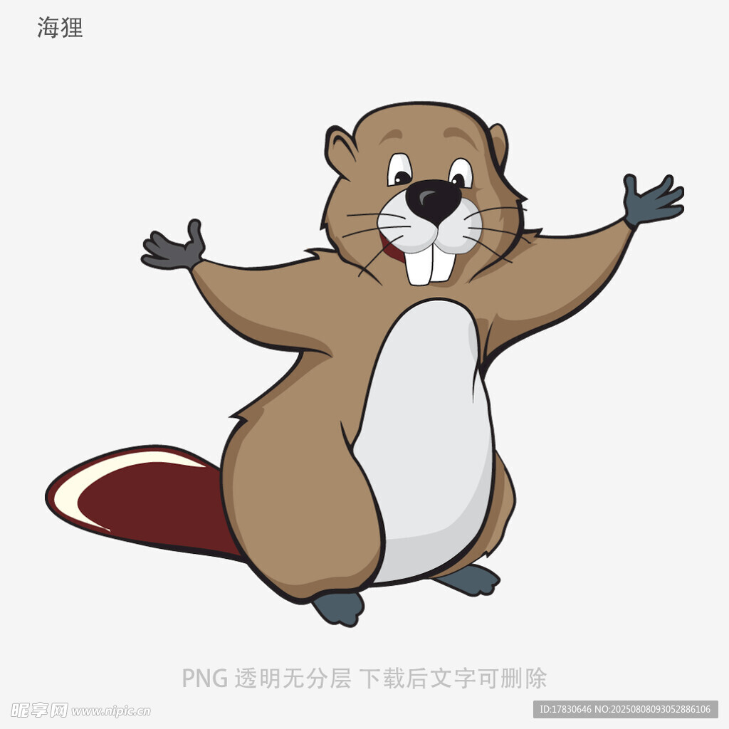 海狸