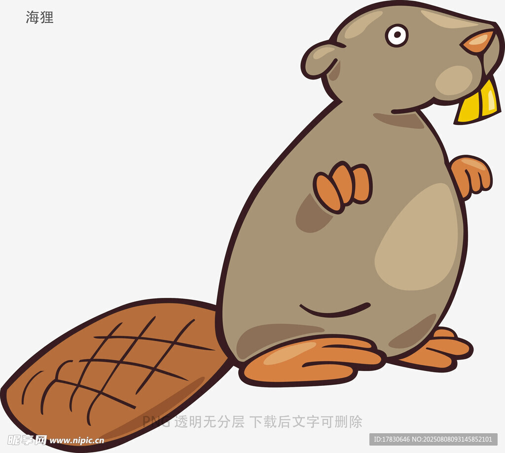 海狸