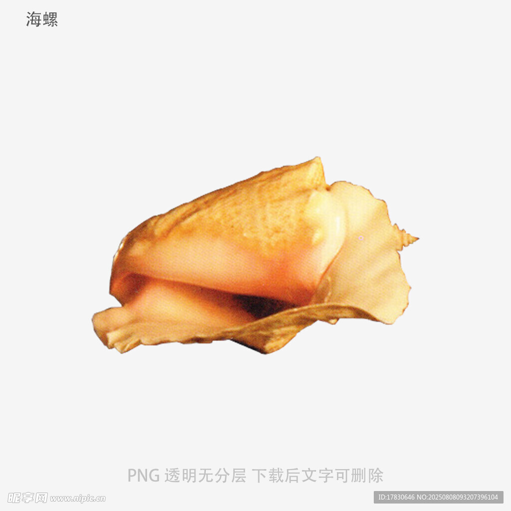 海螺