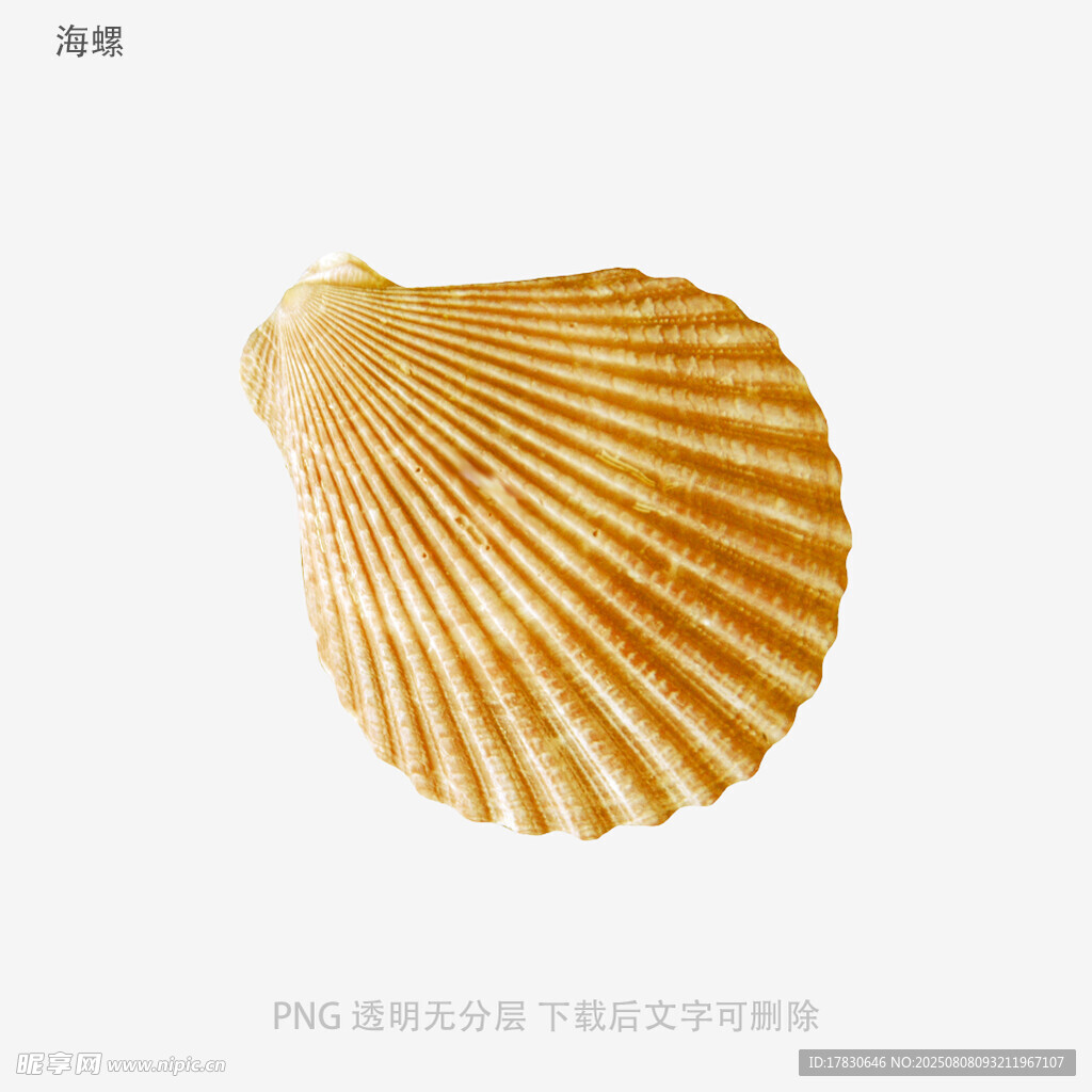 海螺