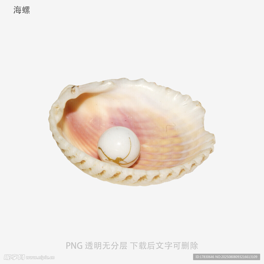 海螺