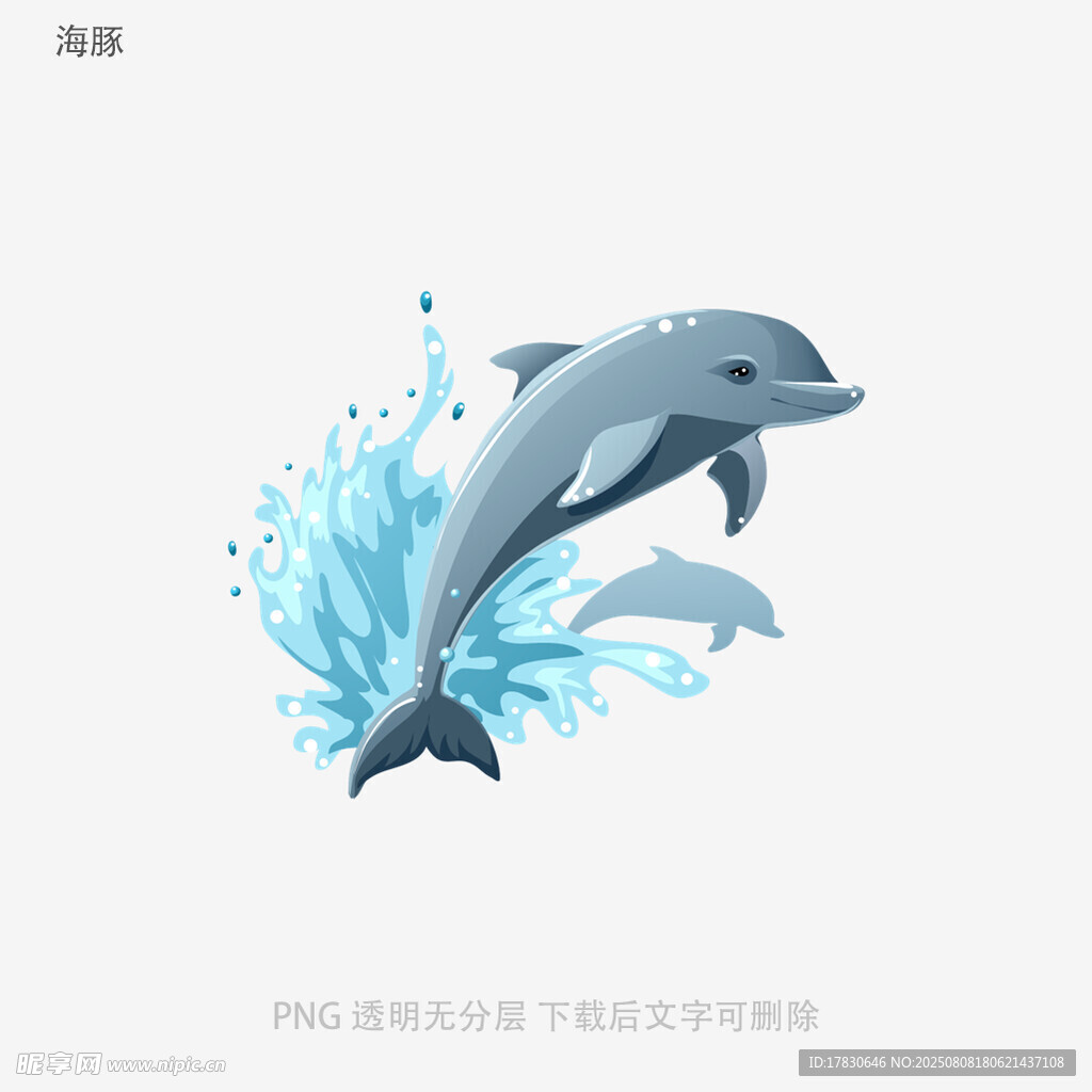 海豚