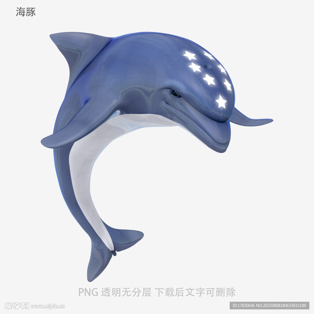 海豚