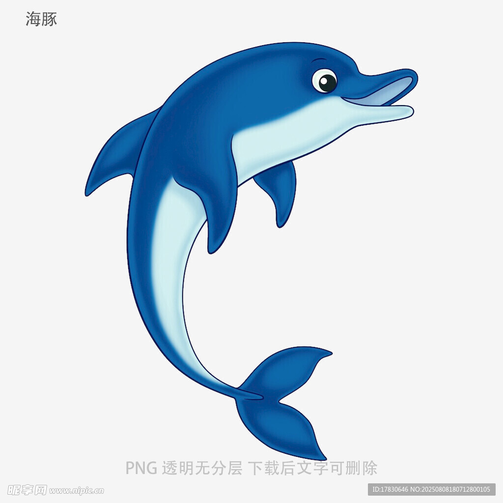 海豚