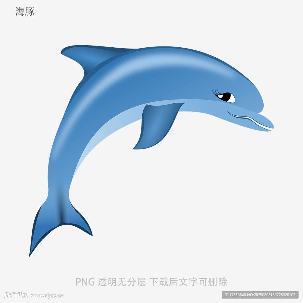 海豚