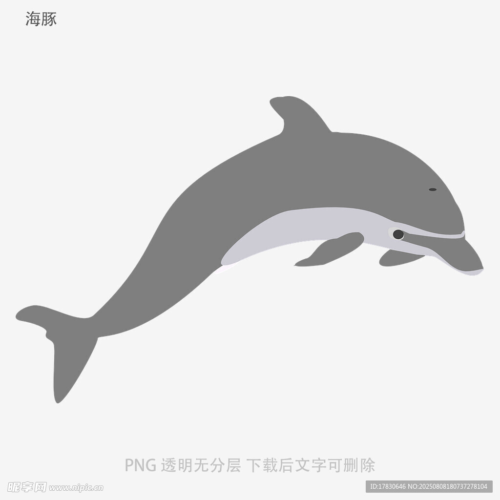 海豚