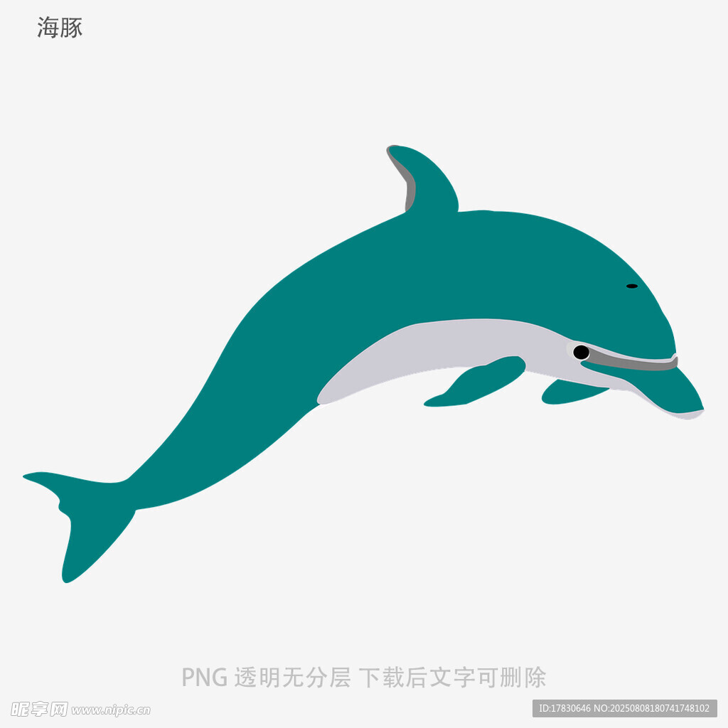 海豚
