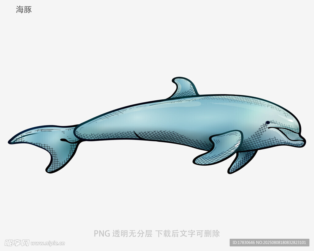 海豚