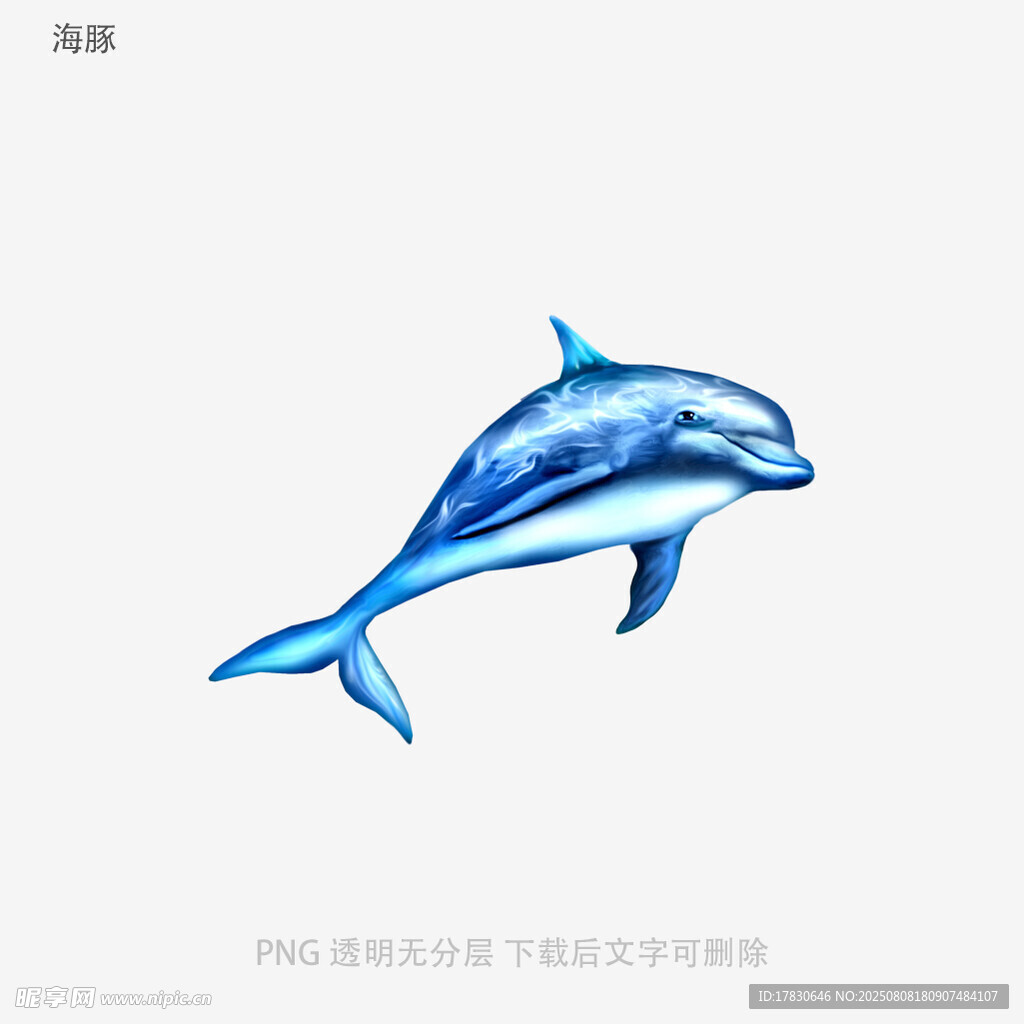 海豚