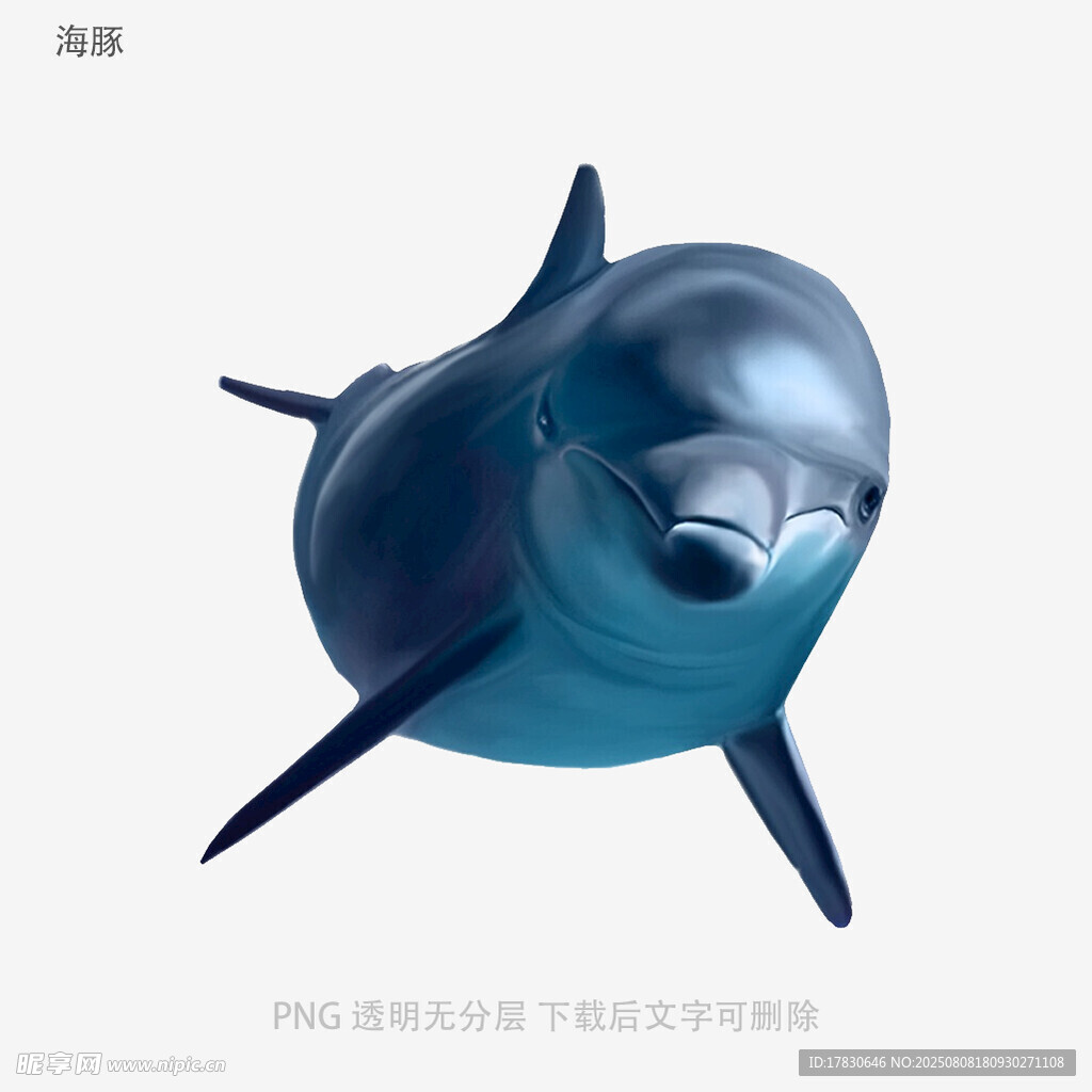 海豚